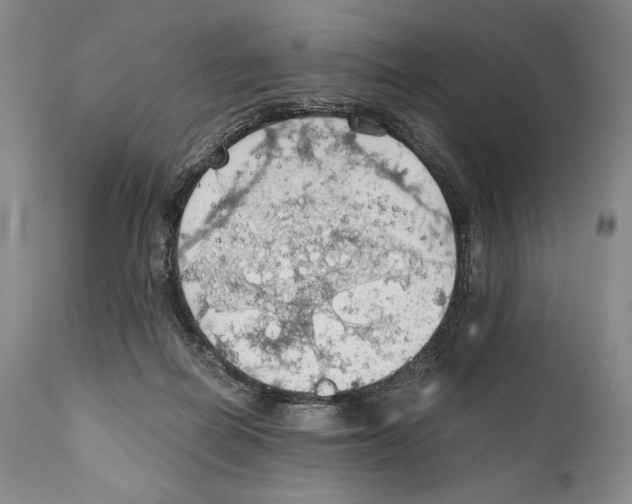 X0000111030266200907231628