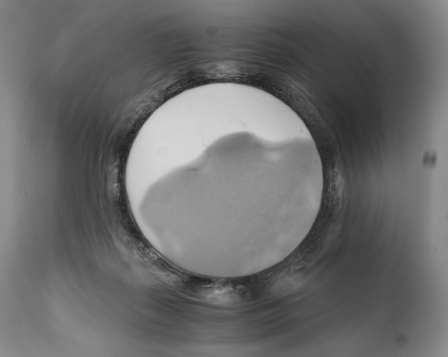 X0000111030267200907231628