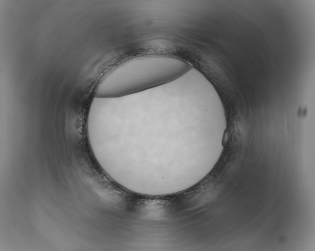 X0000111030268200907231628