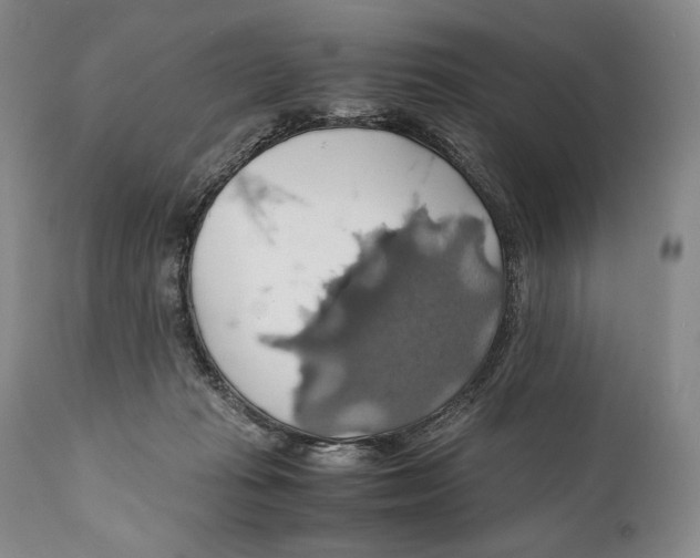 X0000111030269200907231628