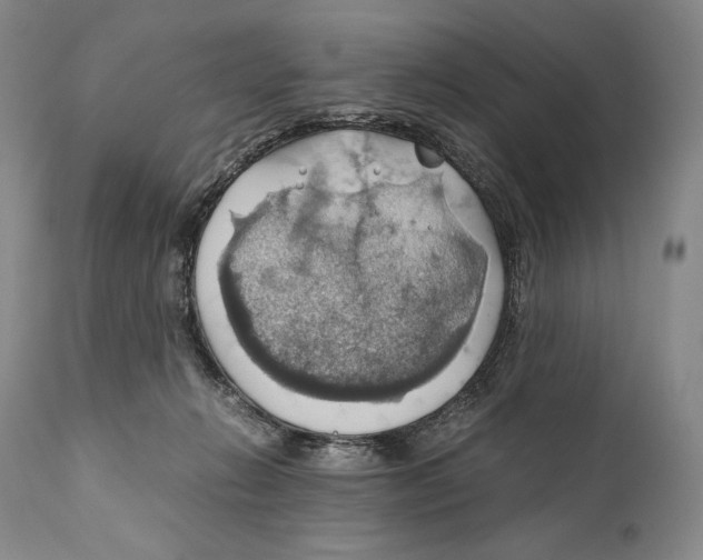 X0000111030270200907231628