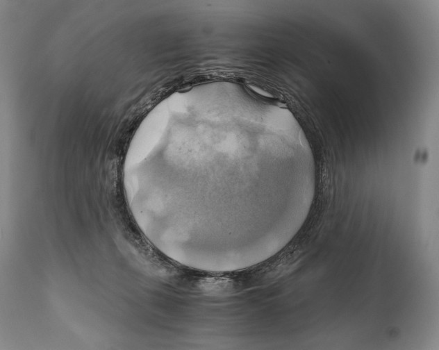 X0000111030271200907231628