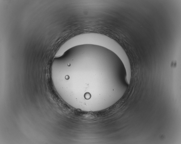 X0000111030272200907231628