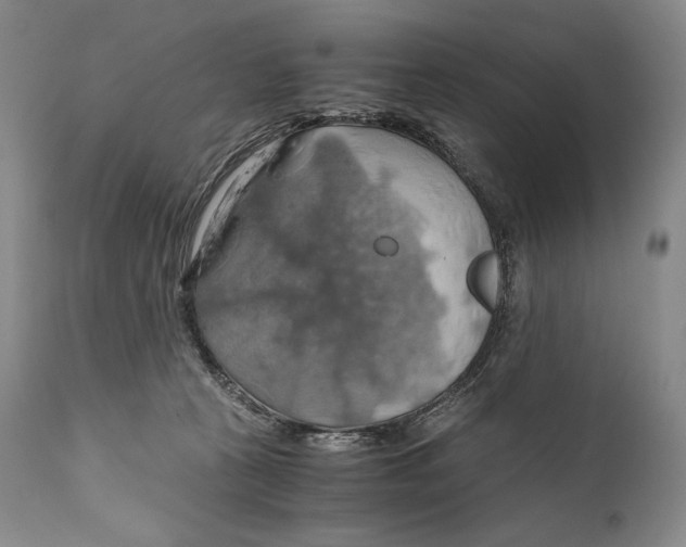 X0000111030273200907231628