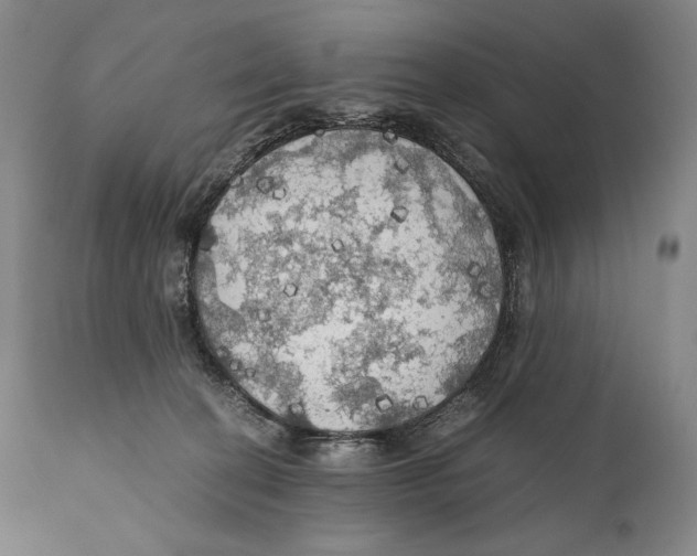 X0000111030274200907231628