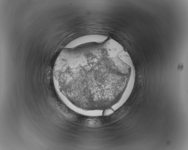 X0000111030275200907231628