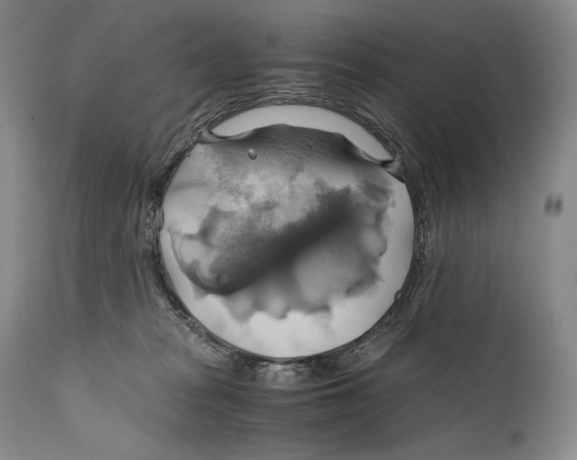 X0000111030277200907231628