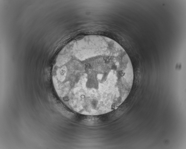 X0000111030278200907231628