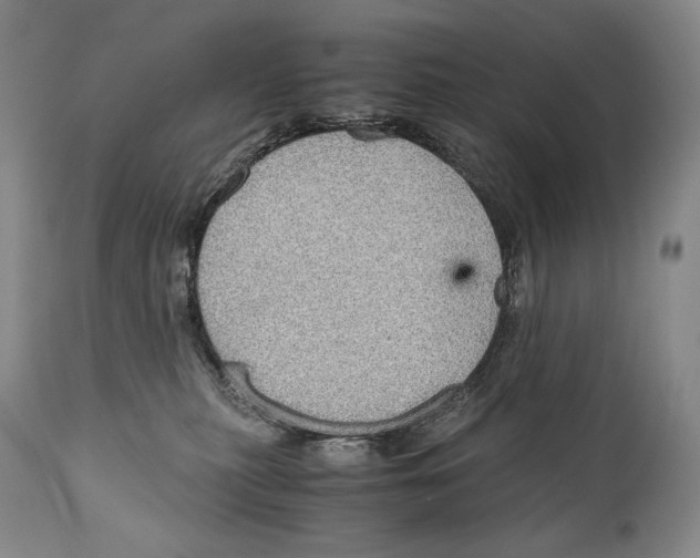 X0000111030279200907231628