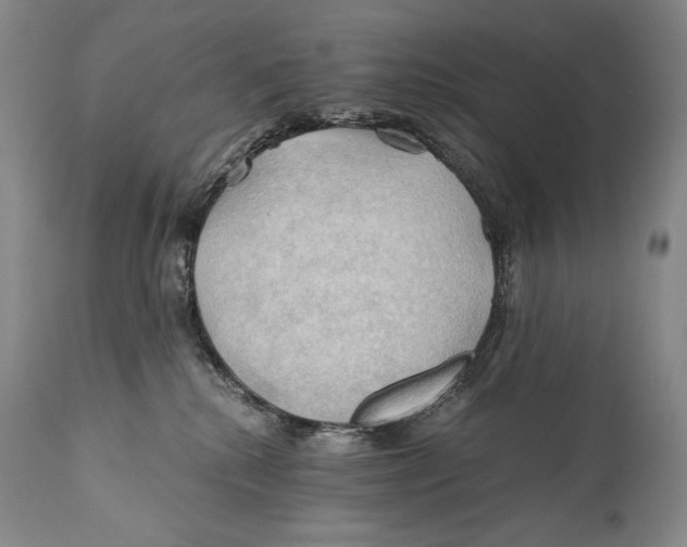 X0000111030280200907231628