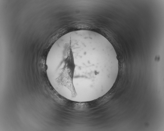 X0000111030281200907231628