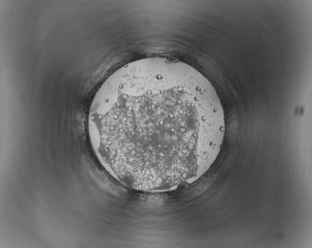 X0000111030282200907231628
