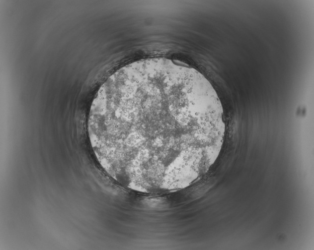 X0000111030283200907231628