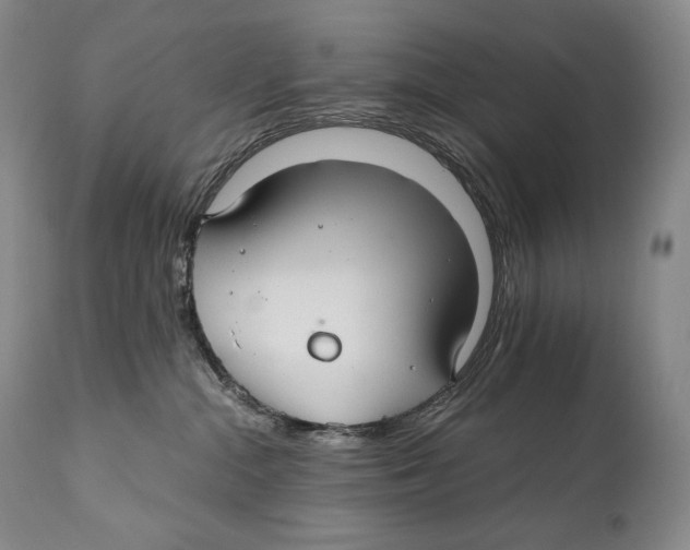 X0000111030284200907231628