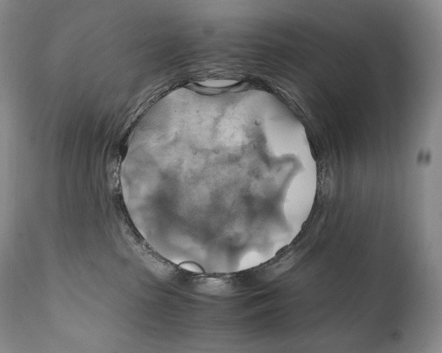 X0000111030285200907231628