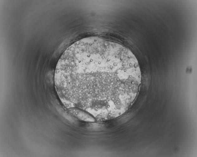 X0000111030286200907231628