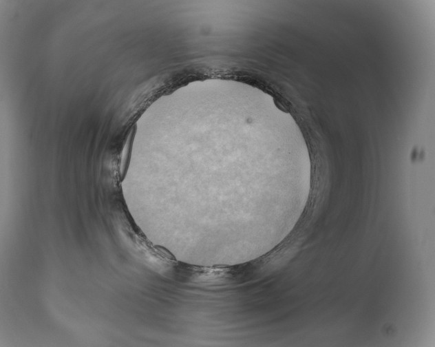 X0000111030288200907231628