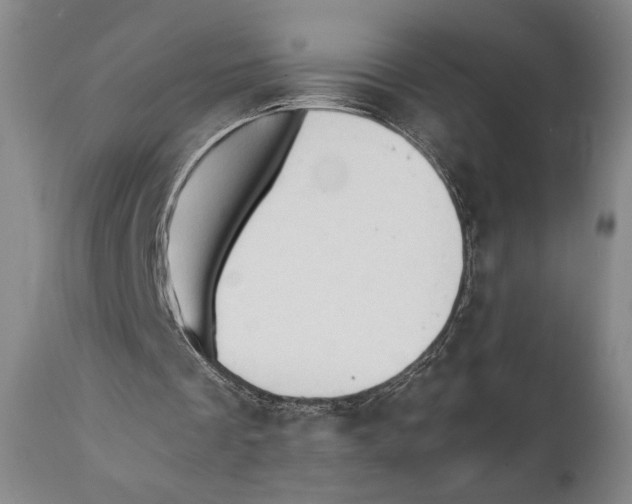 X0000111030289200907231627