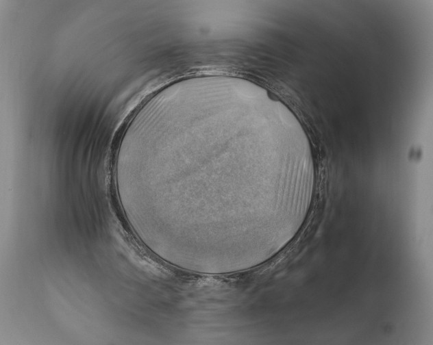 X0000111030290200907231627