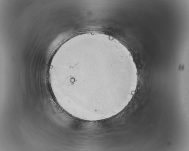 X0000111030293200907231627