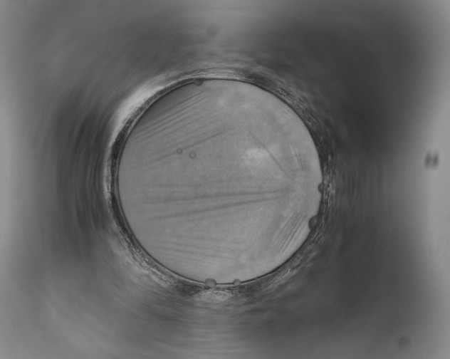 X0000111030294200907231627