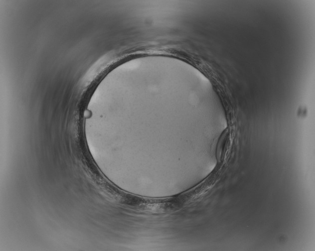 X0000111030295200907231627