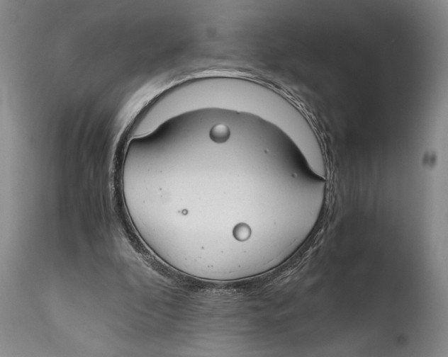 X0000111030296200907231627