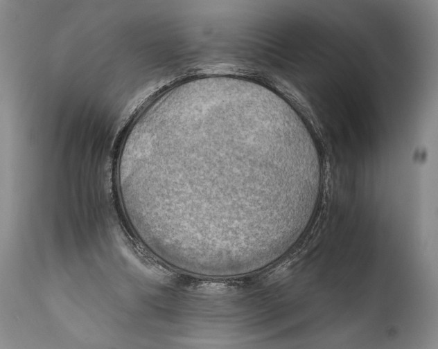 X0000111030298200907231627