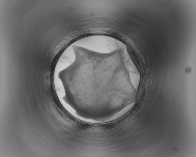 X0000111030299200907231627