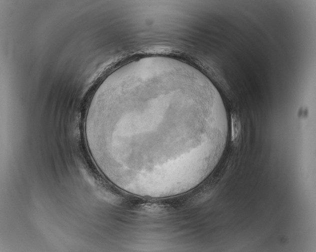 X0000111030300200907231627