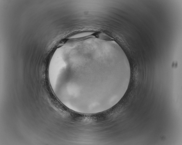 X0000111030303200907231627