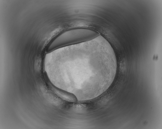 X0000111030304200907231627