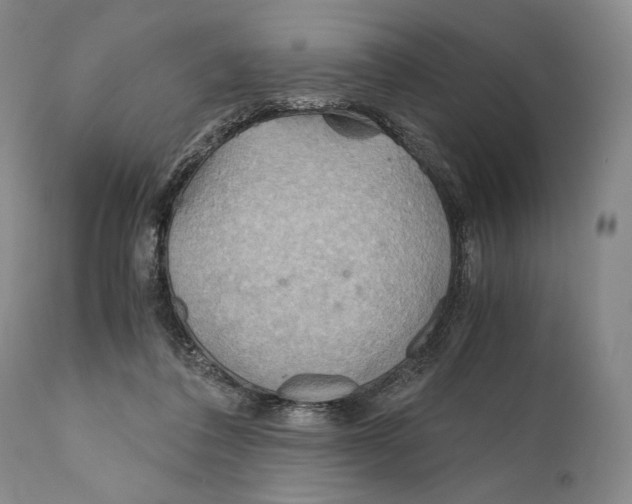 X0000111030308200907231627