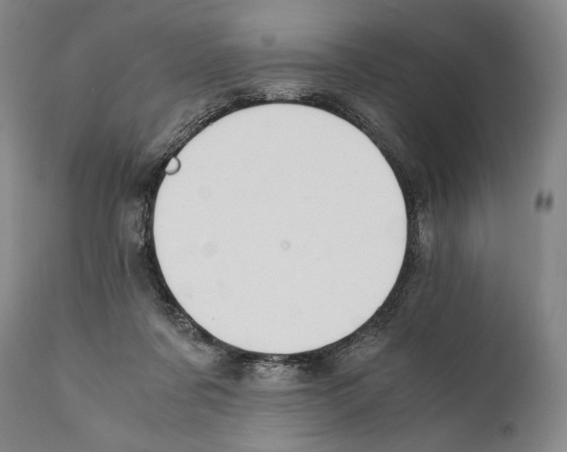 X0000111030311200907231627