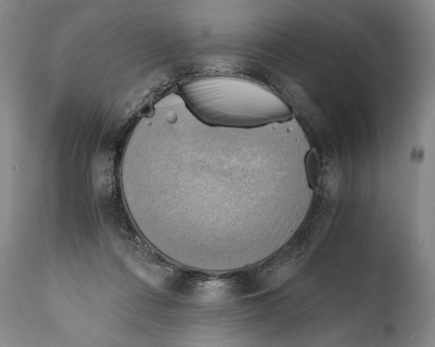 X0000111030312200907231627