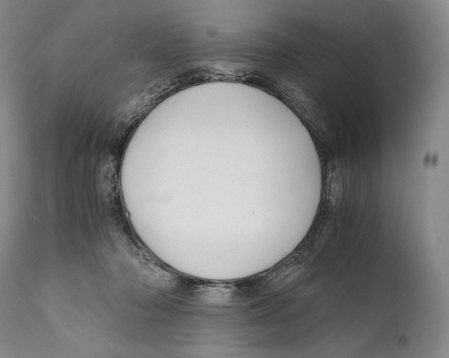 X0000111030318200907231627