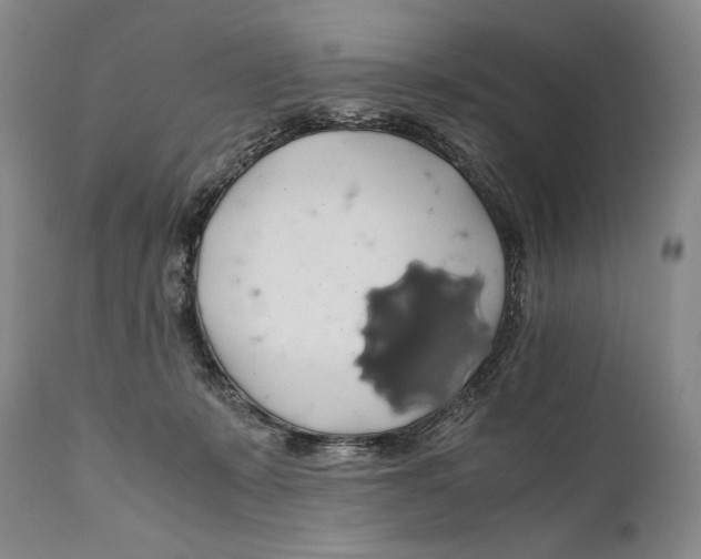 X0000111030319200907231627