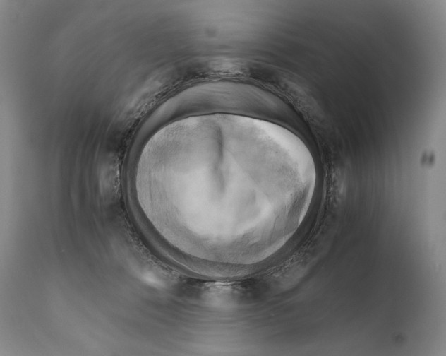 X0000111030320200907231627