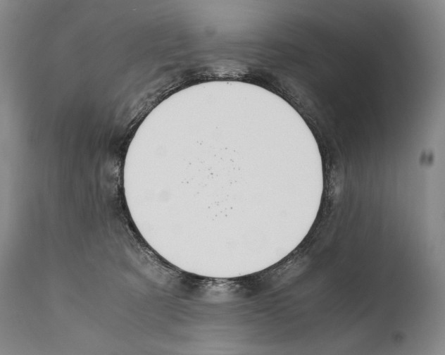 X0000111030321200907231627