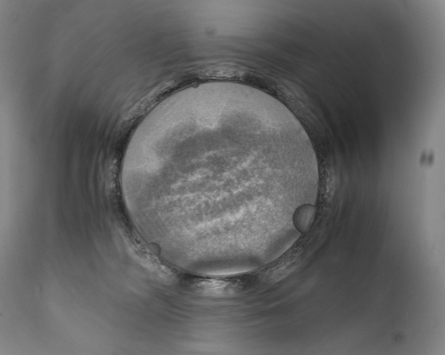 X0000111030326200907231627