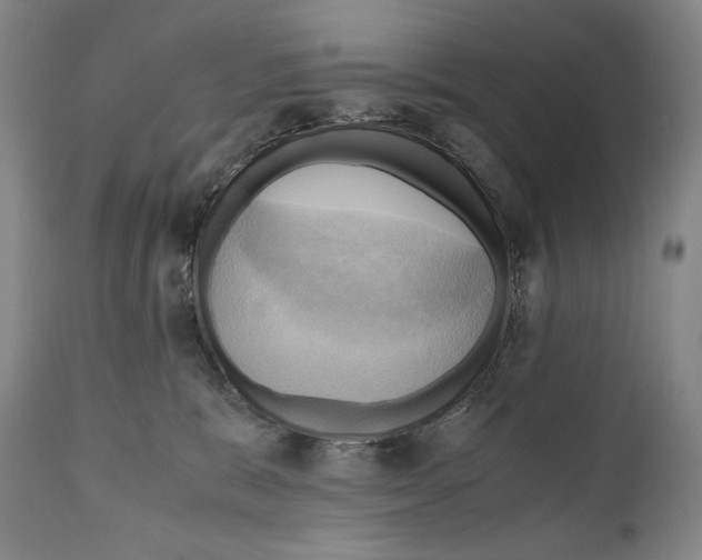 X0000111030327200907231627