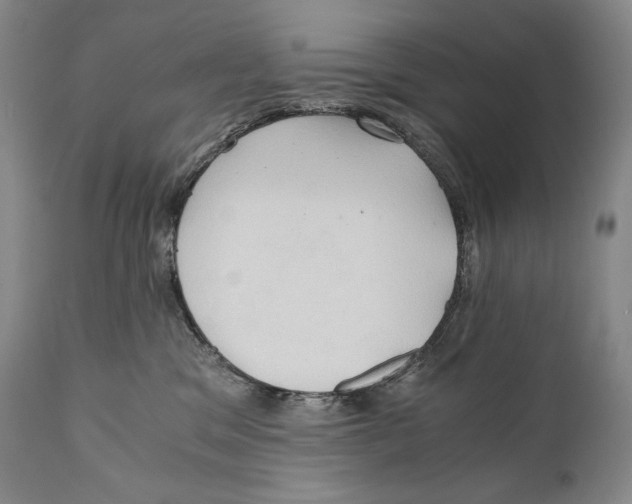 X0000111030329200907231627