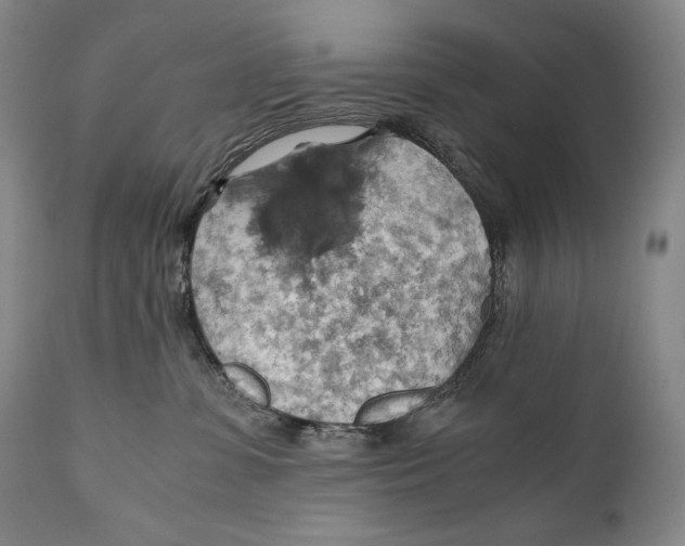 X0000111030331200907231627