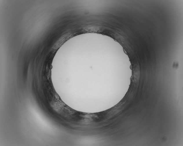 X0000111030334200907231627