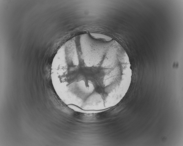 X0000111030335200907231627