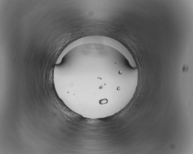 X0000111030336200907231627