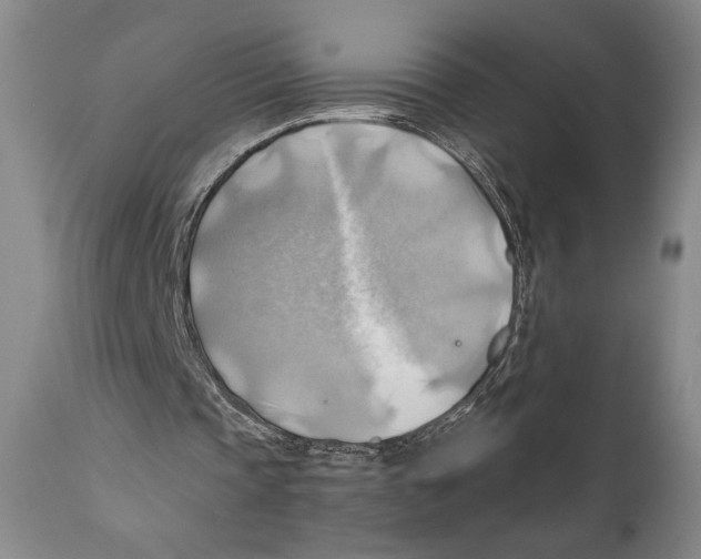 X0000111030337200907231626