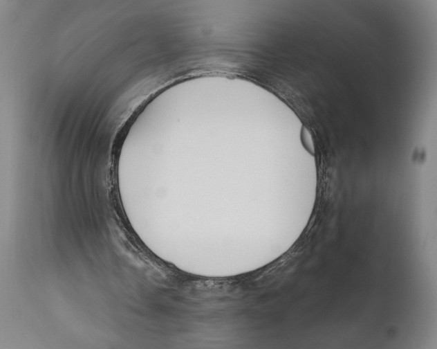 X0000111030338200907231626