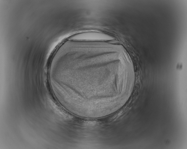 X0000111030342200907231626