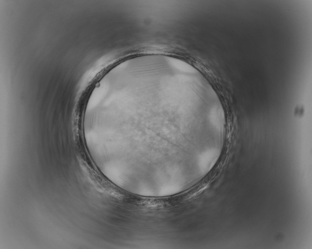 X0000111030343200907231626